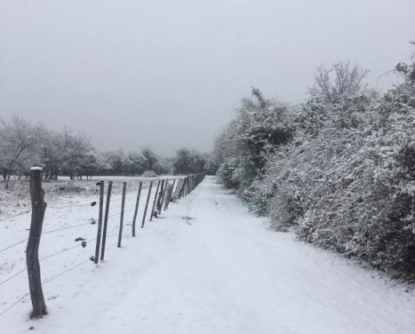 Terreno 1176 M2 - Escritura - Villa Las Rosas - Cordoba