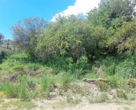 VENDO TERRENO DE 700 M2. VILLA SAN NICOLAS. 2°SECCION. C/ESCRITURA.
