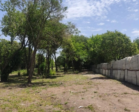 LOTE EN VENTA EN PABLO NOGUES!!!