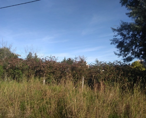 MALAGUEÑO: LOTES EN VILLA SIERRAS DE ORO