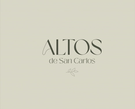 LOTES EN VENTA BARRIO ALTOS DE SAN CARLOS