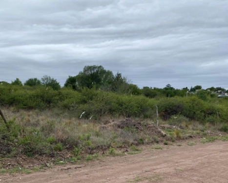 Terrenos en Venta - Mirador Del Lago- Bialet Masse-OPORTUNIDAD!