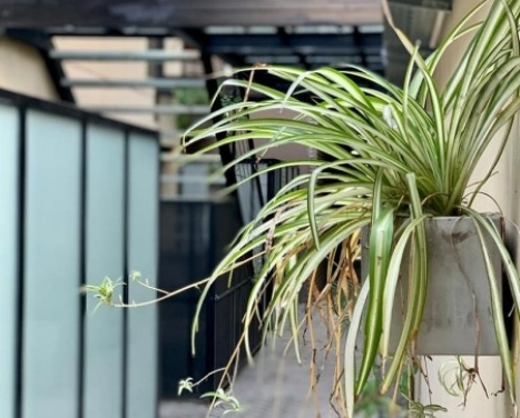 Departamento de pasillo Monoambiente