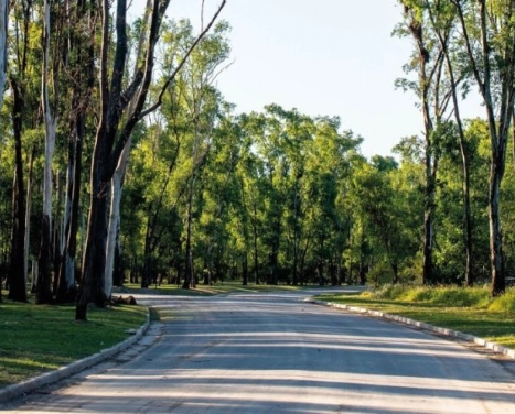 LOTE NUEVO MALAGUEÑO