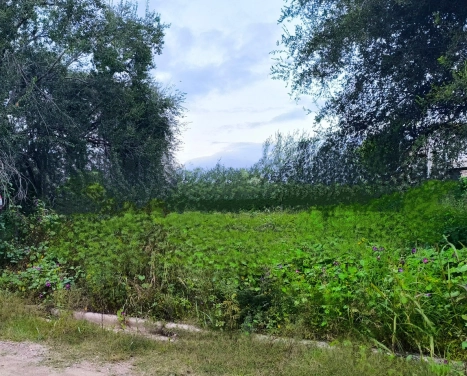 Vendo lote de 325 m2 Bialet Masse_ B° Paya de Oro- Cordoba